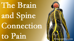 Amelia Chiropractic Clinic shares at the connection between the brain and spine in back pain patients to better help them find pain relief.