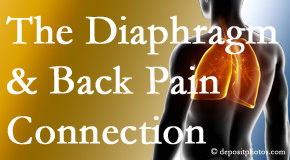 Amelia Chiropractic Clinic recognizes the relationship of the diaphragm to the body and spine and back pain. 