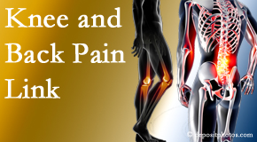 Amelia Chiropractic Clinic treats back pain and knee osteoarthritis to help prevent falls.