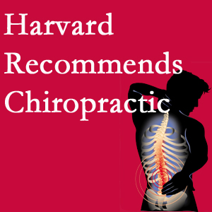 Amelia Chiropractic Clinic offers chiropractic care like Harvard recommends.