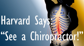Fernandina Beach chiropractic for back pain relief urged by Harvard