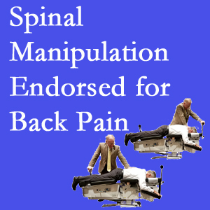 Fernandina Beach chiropractic care involves spinal manipulation, an effective,  non-invasive, non-drug approach to low back pain relief.