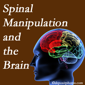 Amelia Chiropractic Clinic [presents research on the benefits of spinal manipulation for brain function. 