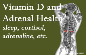 Amelia Chiropractic Clinic shares new studies about the effect of vitamin D on adrenal health and function.