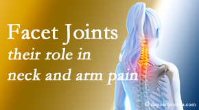Amelia Chiropractic Clinic carefully examines, diagnoses, and treats cervical spine facet joints for neck pain relief when they are involved.