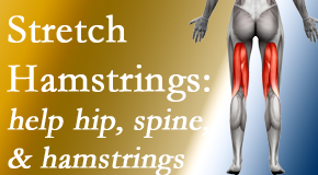 Amelia Chiropractic Clinic promotes back pain patients to stretch hamstrings for length, range of motion and flexibility to support the spine.