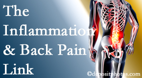 Amelia Chiropractic Clinic addresses the inflammatory process that accompanies back pain as well as the pain itself.