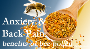 Amelia Chiropractic Clinic presents info on the benefits of bee pollen on cognitive function that may be impaired when dealing with back pain.