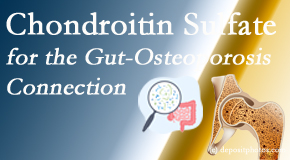 Amelia Chiropractic Clinic shares new research linking microbiota in the gut to chondroitin sulfate and bone health and osteoporosis. 