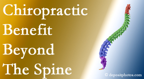 Amelia Chiropractic Clinic chiropractic care benefits more than the spine especially when the thoracic spine is treated!