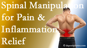 Amelia Chiropractic Clinic shares encouraging news about the influence of spinal manipulation may be shown via blood test biomarkers.
