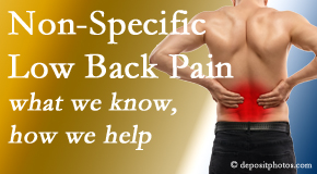 Amelia Chiropractic Clinic describes the specific characteristics and treatment of non-specific low back pain. 