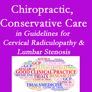Fernandina Beach chiropractic care for cervical radiculopathy and lumbar spinal stenosis is often ignored in medical studies and recommendations despite documented benefits. 