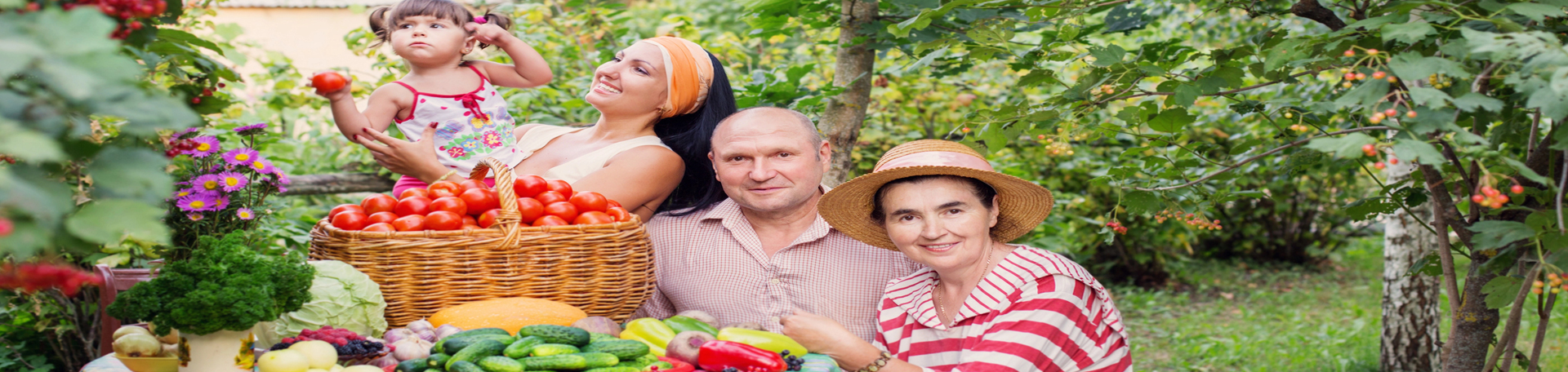  Fernandina Beach chiropractic summer health tips