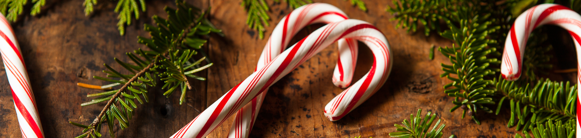 Peppermint for Fernandina Beach Cognition & Appetite Regulation!