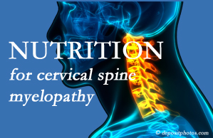 Amelia Chiropractic Clinic shares the nutritional factors in cervical spine myelopathy in its development and management.