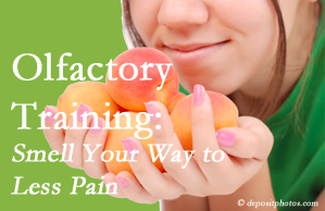 Chronic Fernandina Beach back pain may be helped by olfactory training which utilizes smelling scents to desensitize the sufferer to the pain.