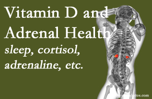 Amelia Chiropractic Clinic shares new research about the effect of vitamin D on adrenal health and function.